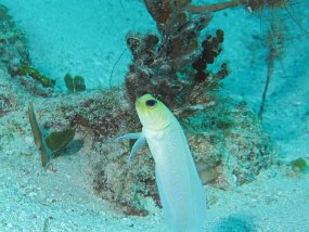 IMG_4107e