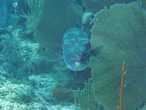 IMG_4124e