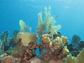 IMG_4129e