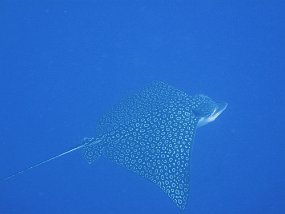 IMG_4133e