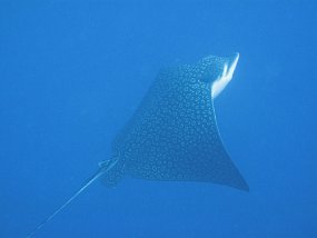 IMG_4134e