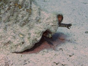 IMG_4156e