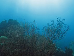 IMG_4175e