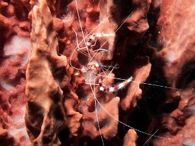 IMG_4242e