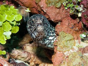 IMG_4330e