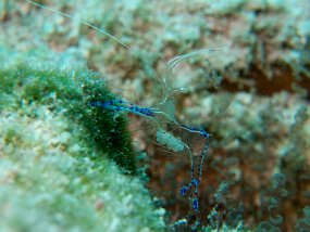 IMG_4337e