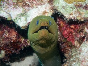 IMG_4343e