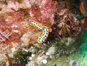 IMG_4391e