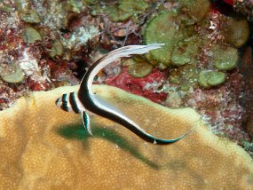 IMG_4395e