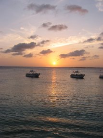 IMG_0278