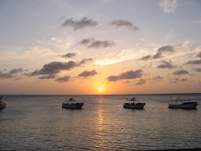 IMG_0279