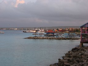IMG_0287