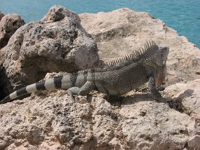 IMG_0292