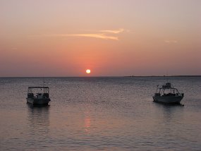 IMG_0296
