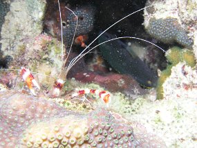 P3180656