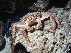 P3180666