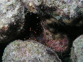 P3180676
