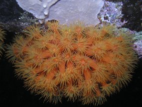 P3180680