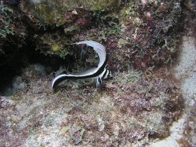 P3190685