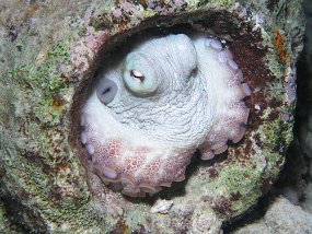P3190697