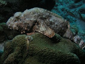 P3190720
