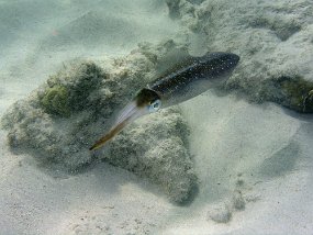 P3190741_edited-1
