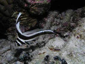 P3200804
