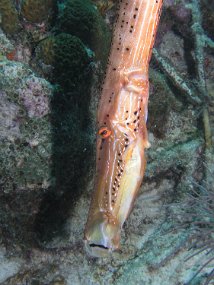 P3200807