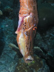 P3200810