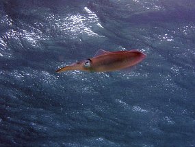 P3200815_edited-1