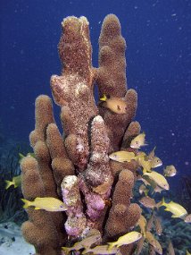 P3200817_edited-1