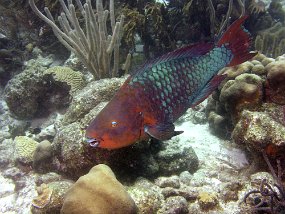 P3200832_edited-1