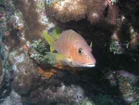 P3200838