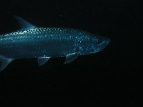 P3210871
