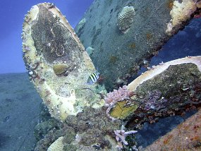 P3210875_edited-1