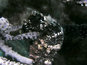 P3210898_edited-1