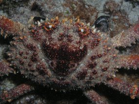P3210929