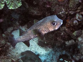 P3220943_edited-1