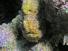 P3220975_edited-1