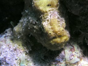 P3220977_edited-1