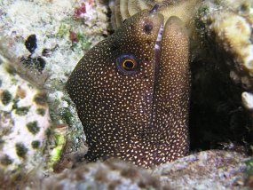 P3220985