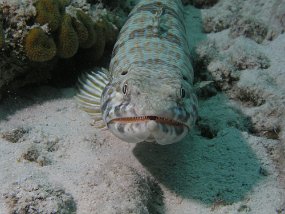 P3220990