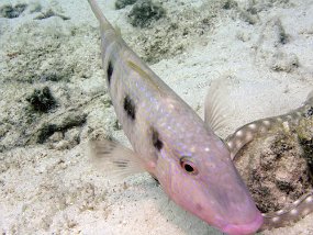 P3220998_edited-1