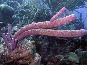 P3231021_edited-1