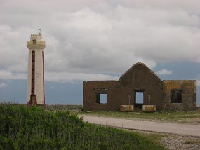 IMG_1062
