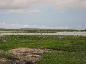 IMG_1063