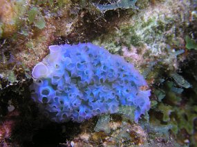 PB180136