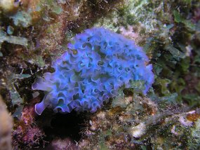 PB180138