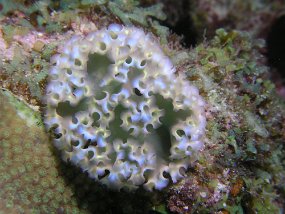 PB180139