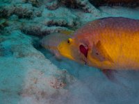 IMG_3477